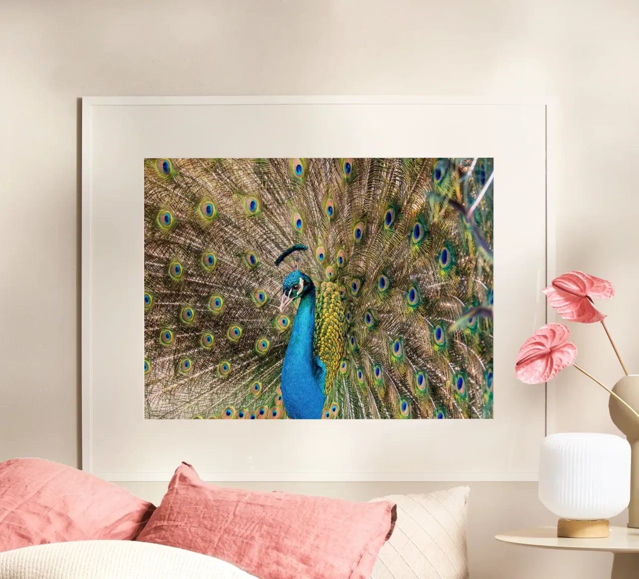 Peacock hahnemühle by anderm