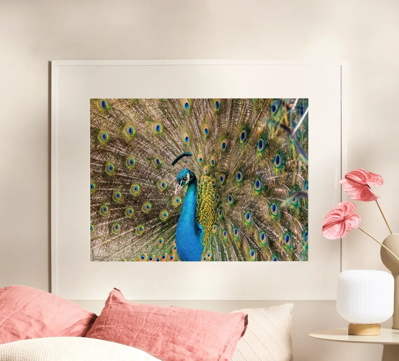 Peacock poster da anderm
