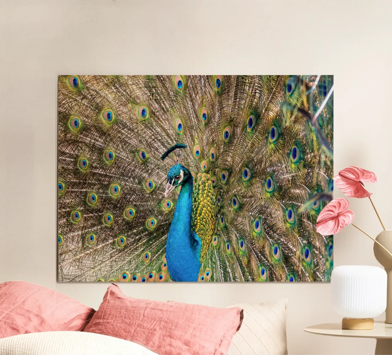 Peacock poster da anderm