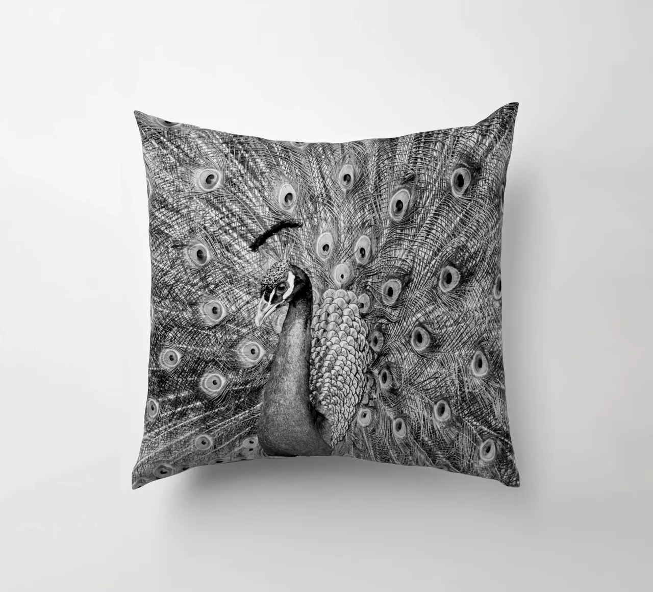 Peacock cuscino da anderm
