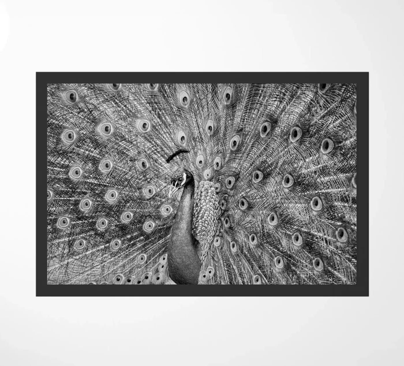 Peacock deurmat van anderm