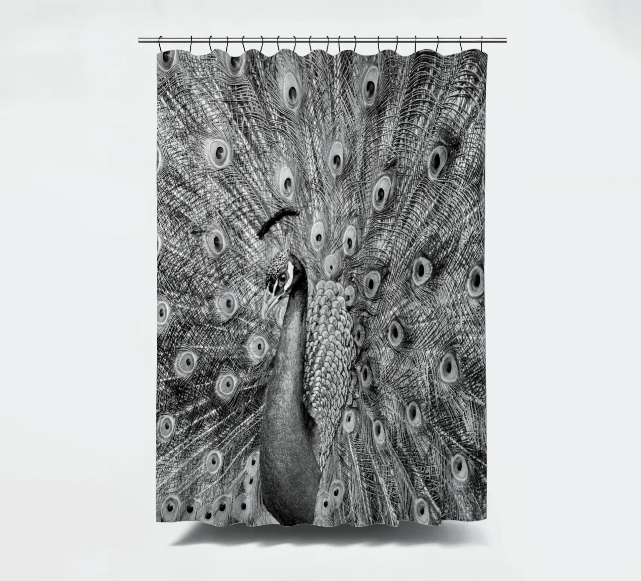 Peacock tenda da doccia da anderm