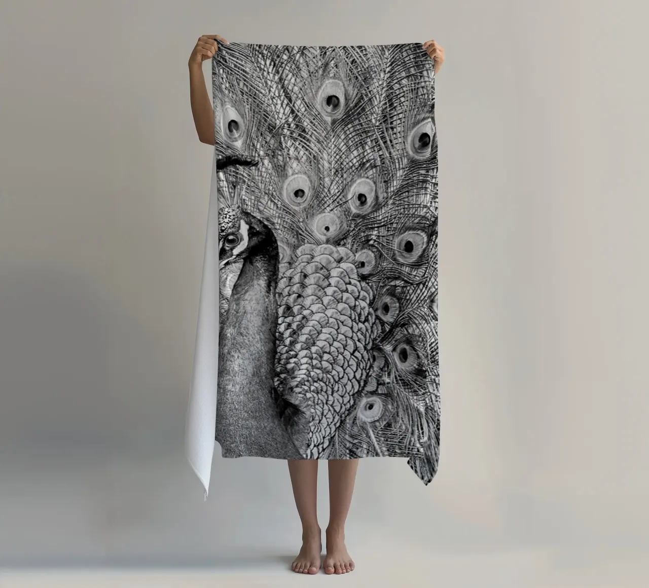 Peacock telo mare da anderm