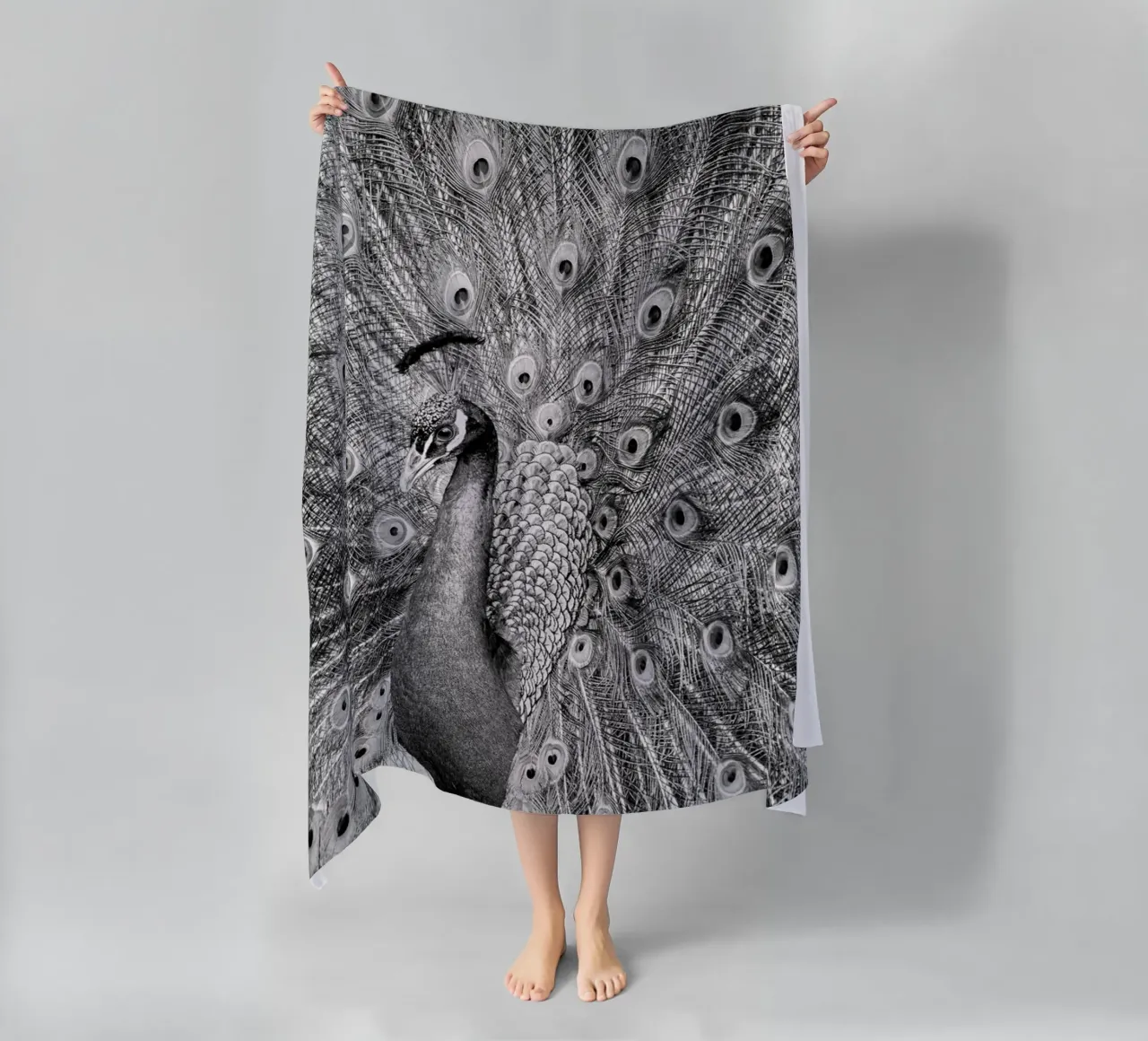 Peacock telo mare da anderm