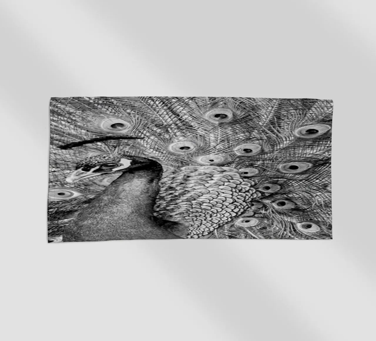 Peacock telo mare da anderm