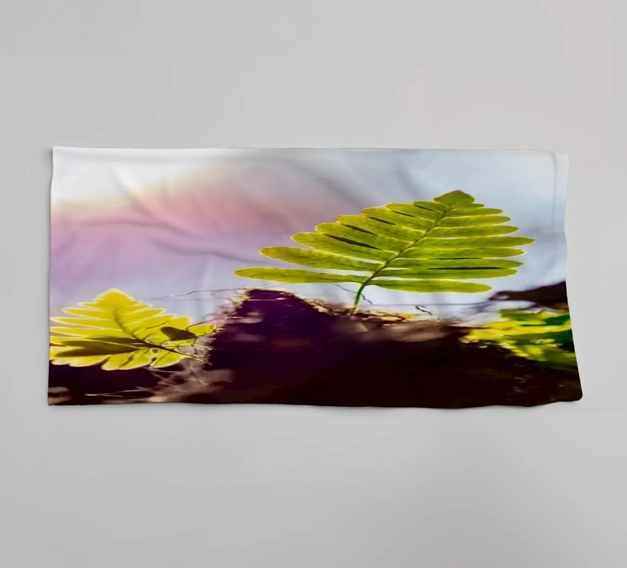 Fern in sunlight - macro photography towel by 5ecken