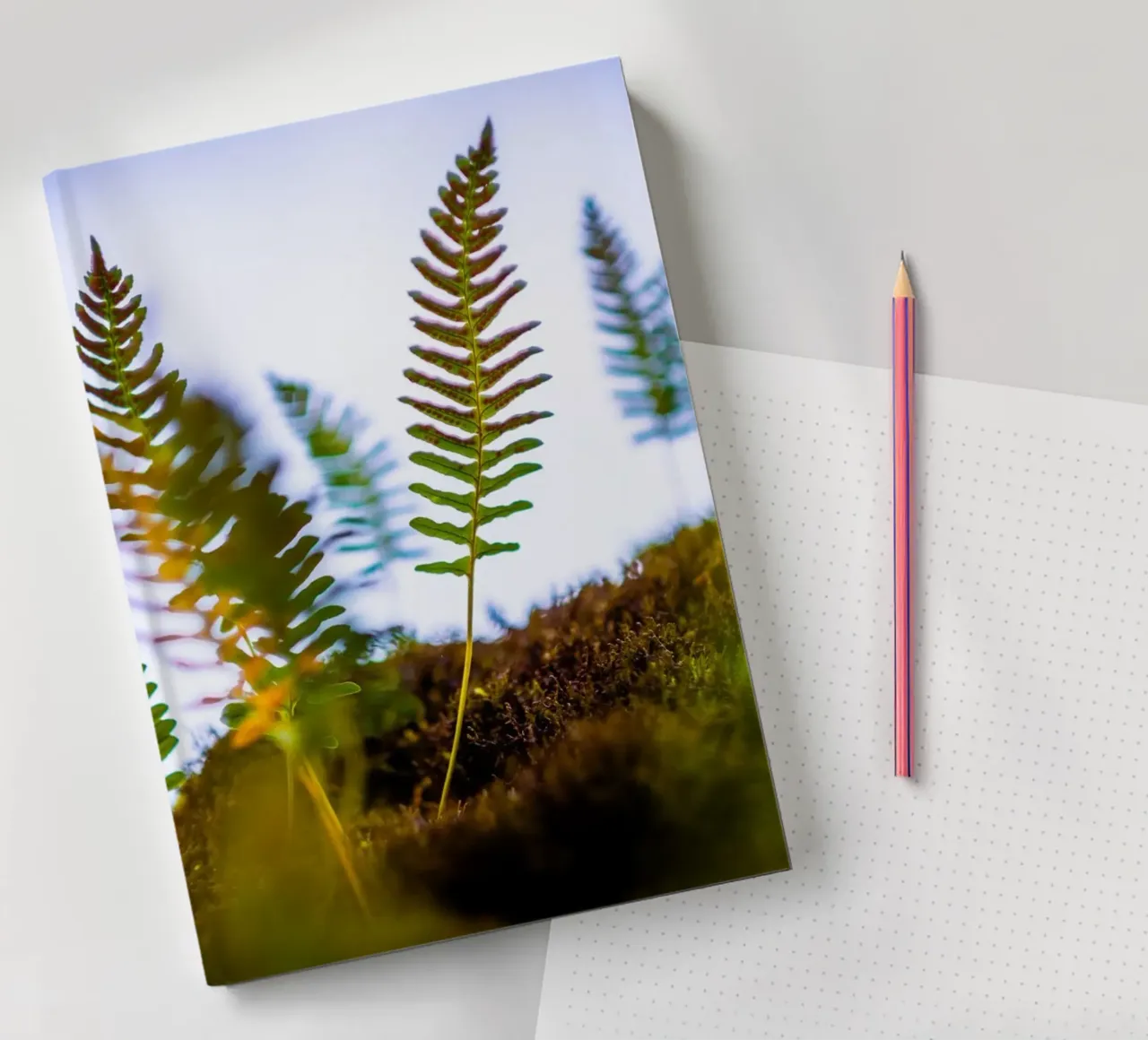 Several young ferns out of focus - macro photography notebook by 5ecken