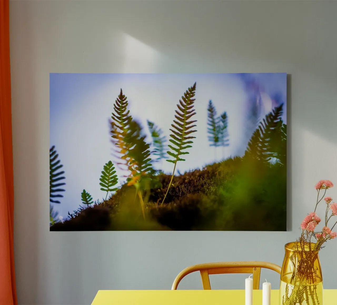 Several young ferns out of focus - macro photography canvas with Floater frame by 5ecken
