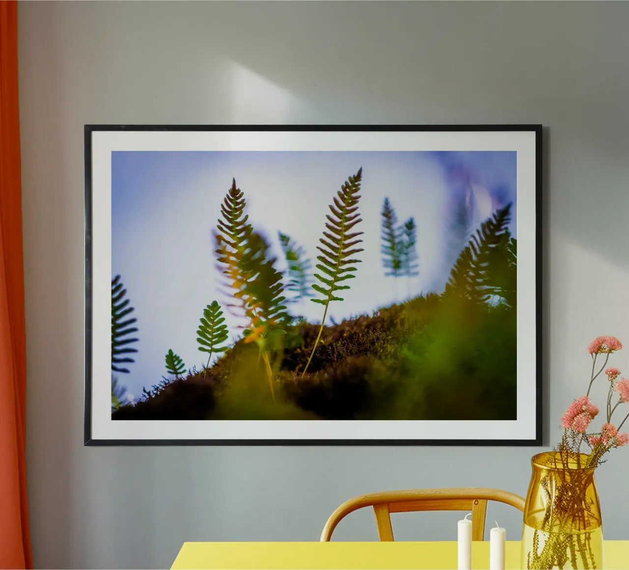 Several young ferns out of focus - macro photography hahnemühle by 5ecken