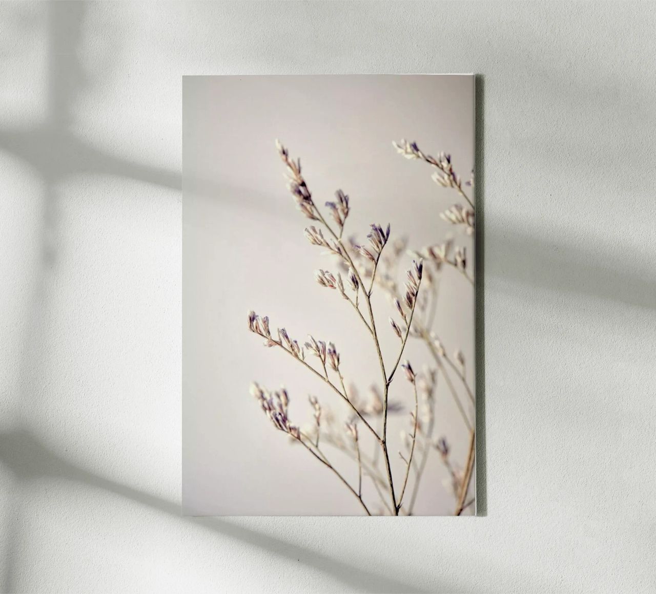 Purple Buds Leinwand von Flora & Fauna