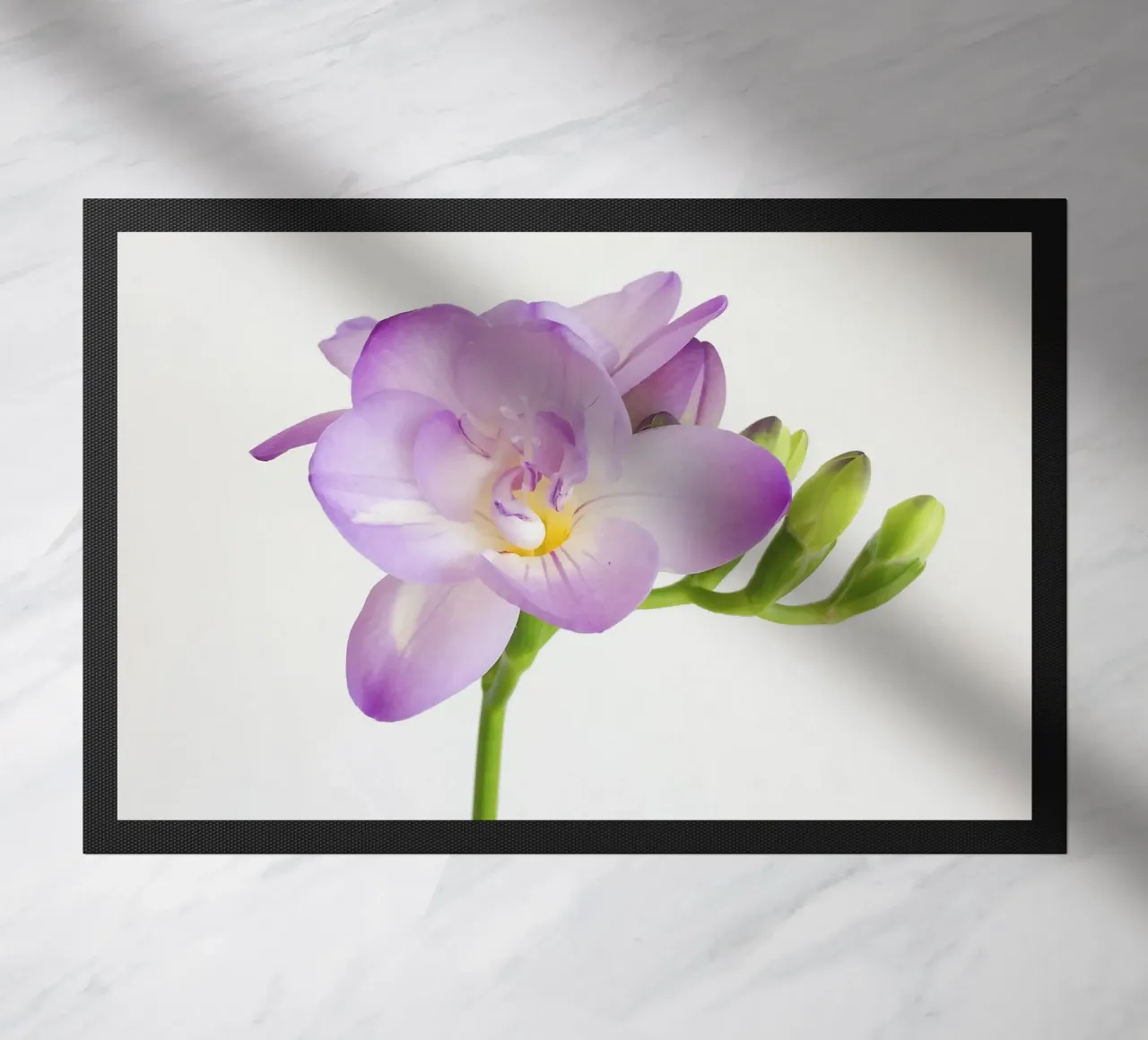 Fiore viola zerbino da Cassia Beck Photography