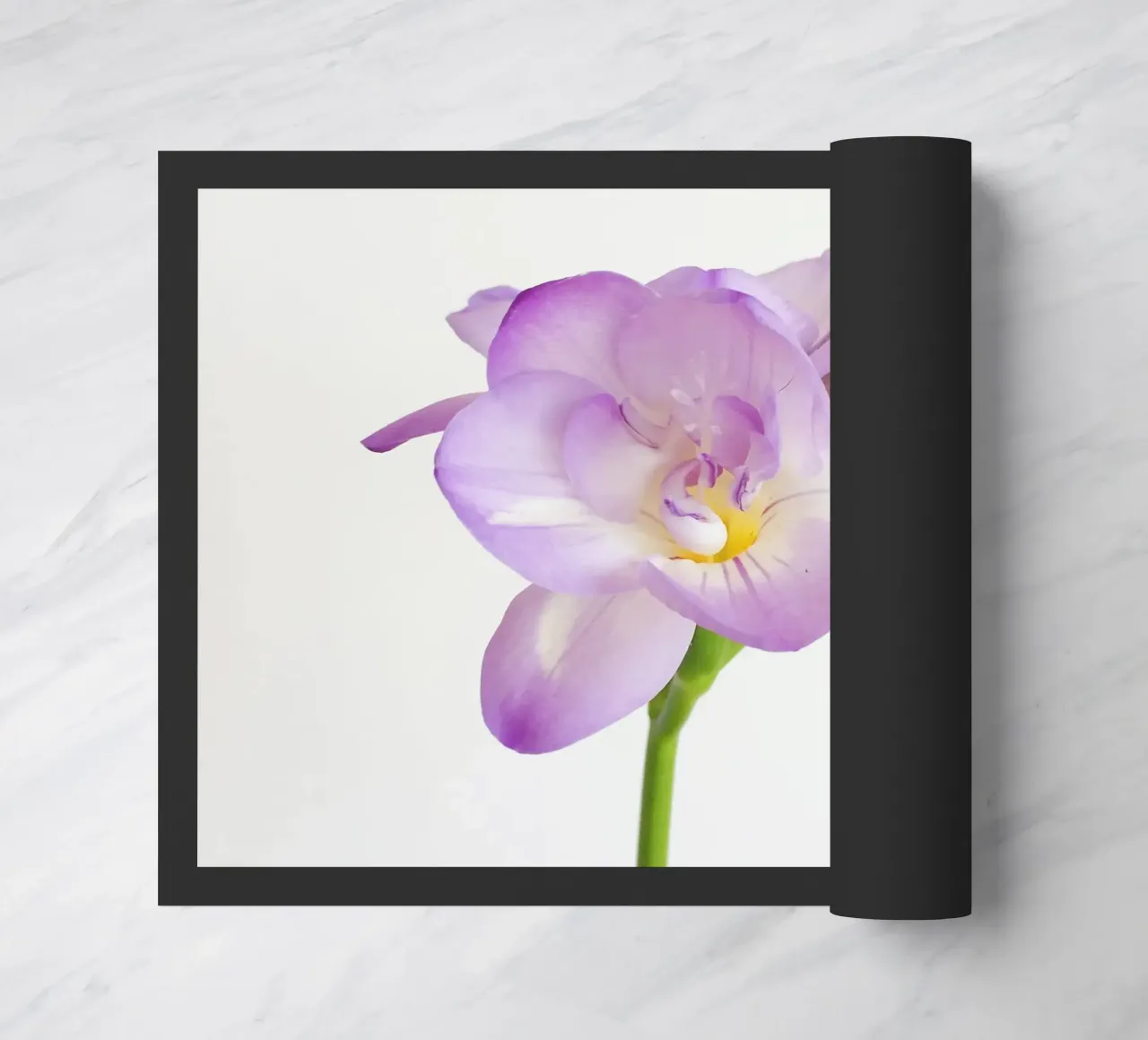 Fiore viola zerbino da Cassia Beck Photography