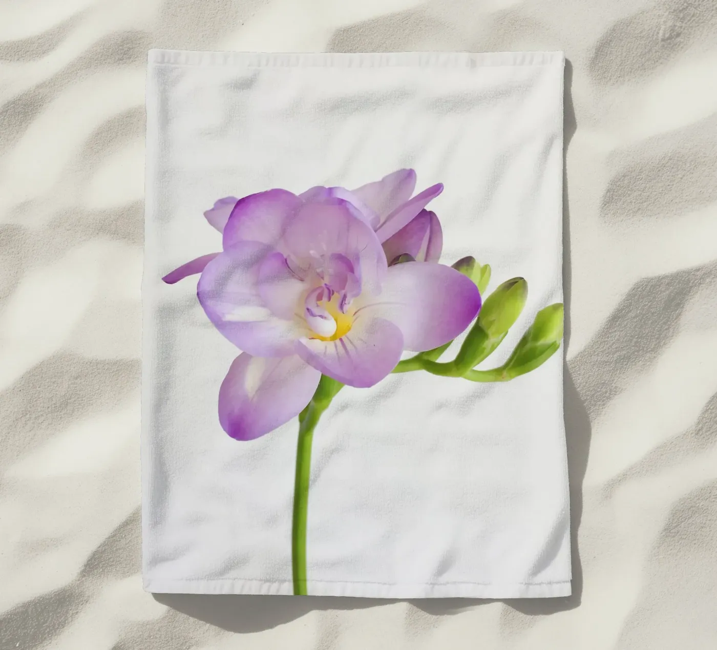 Fiore viola telo mare da Cassia Beck Photography