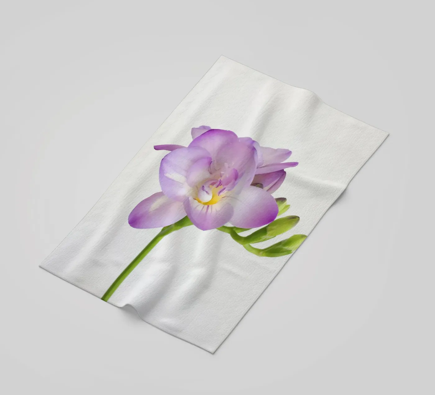 Fiore viola telo mare da Cassia Beck Photography