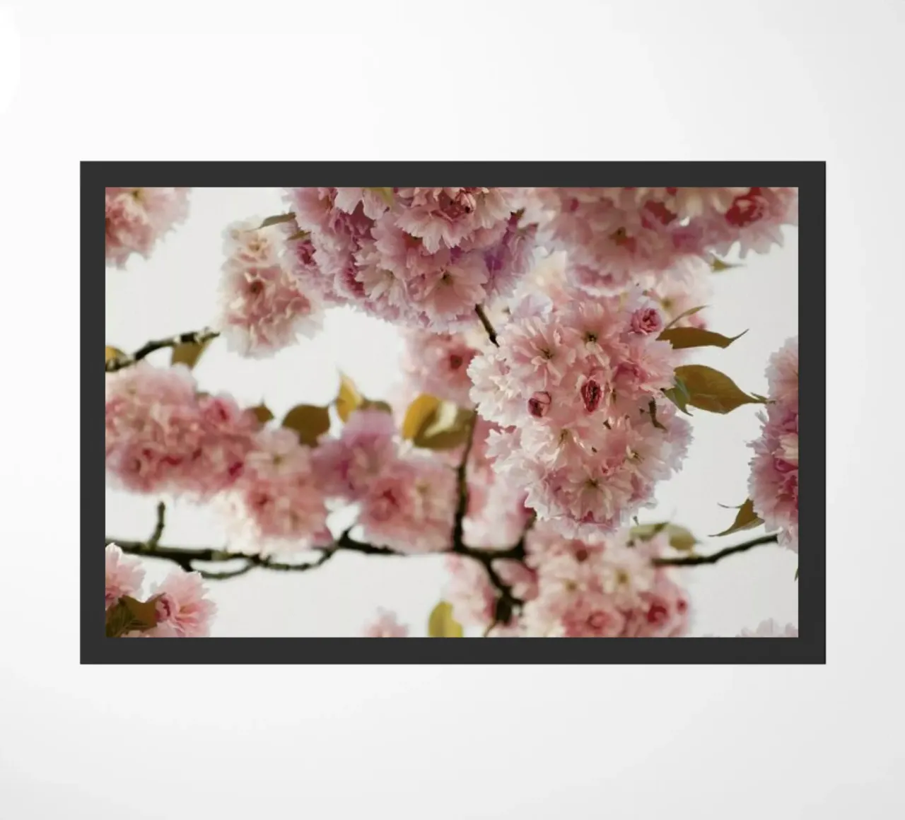 Blush Spring Love zerbino da Studio Nahili