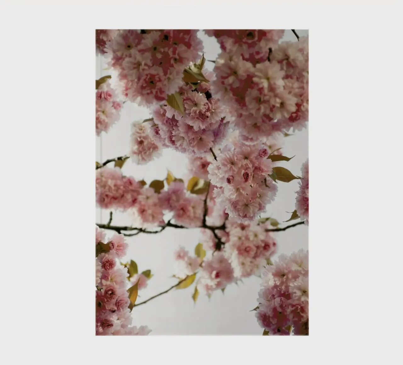 Blush Spring Love notebook by Studio Nahili