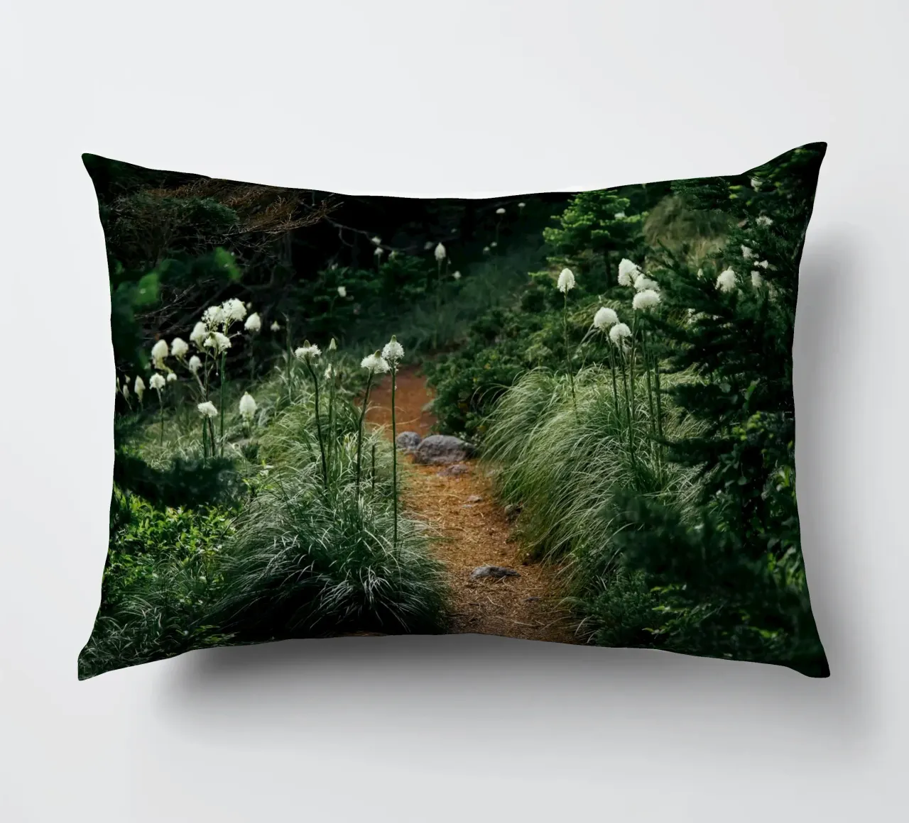 Bear Grass Trail cuscino da wowhannahphotos