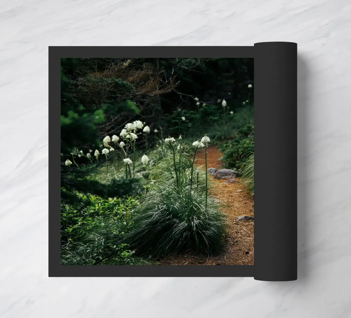 Bear Grass Trail deurmat van wowhannahphotos