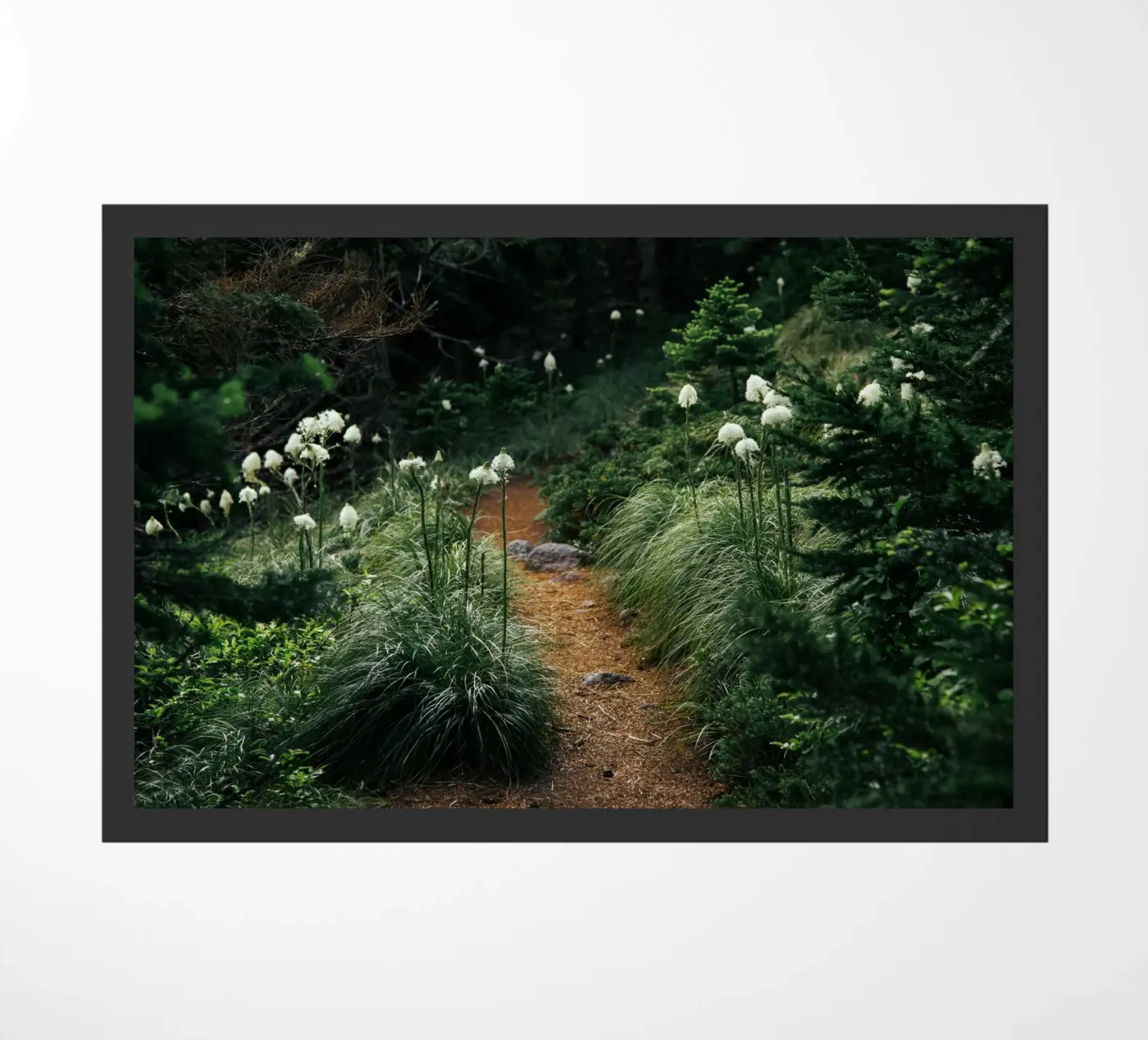 Bear Grass Trail deurmat van wowhannahphotos