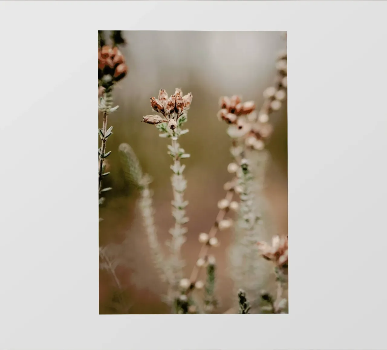 Nature Out Of Focus telo in pvc da Flora & Fauna