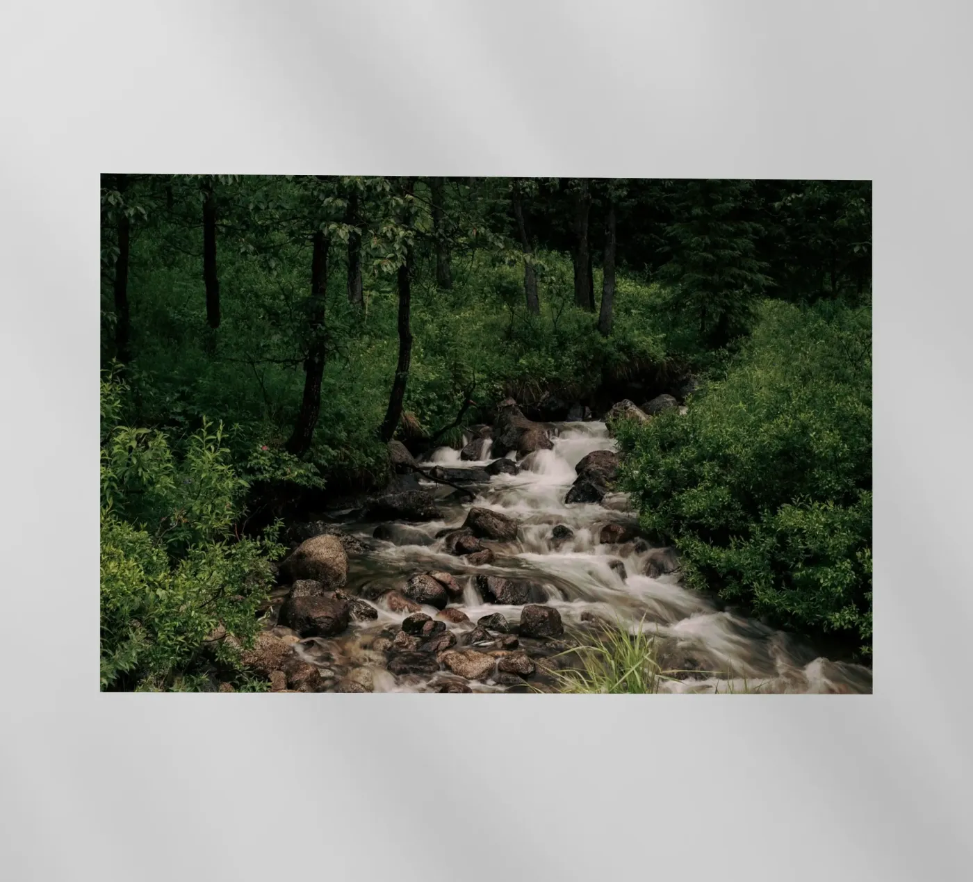 Forest Stream backlit folie van wowhannahphotos