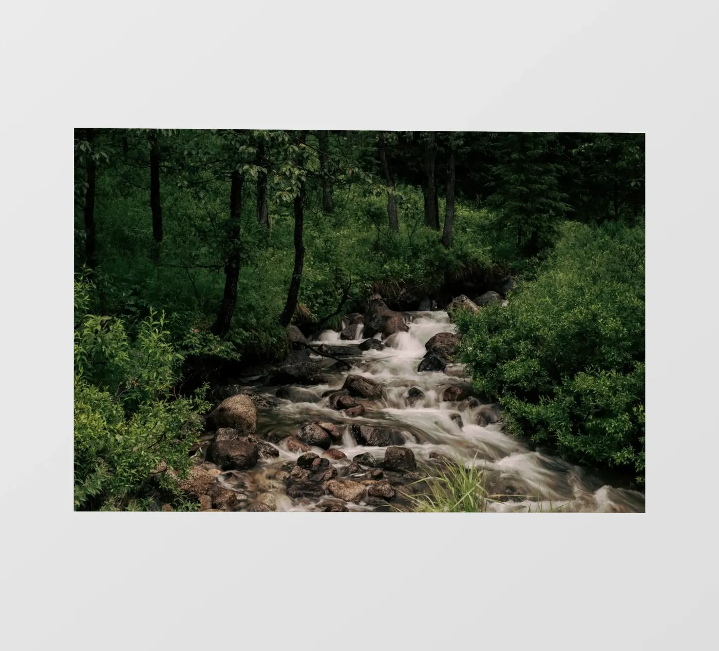 Forest Stream backlit folie van wowhannahphotos