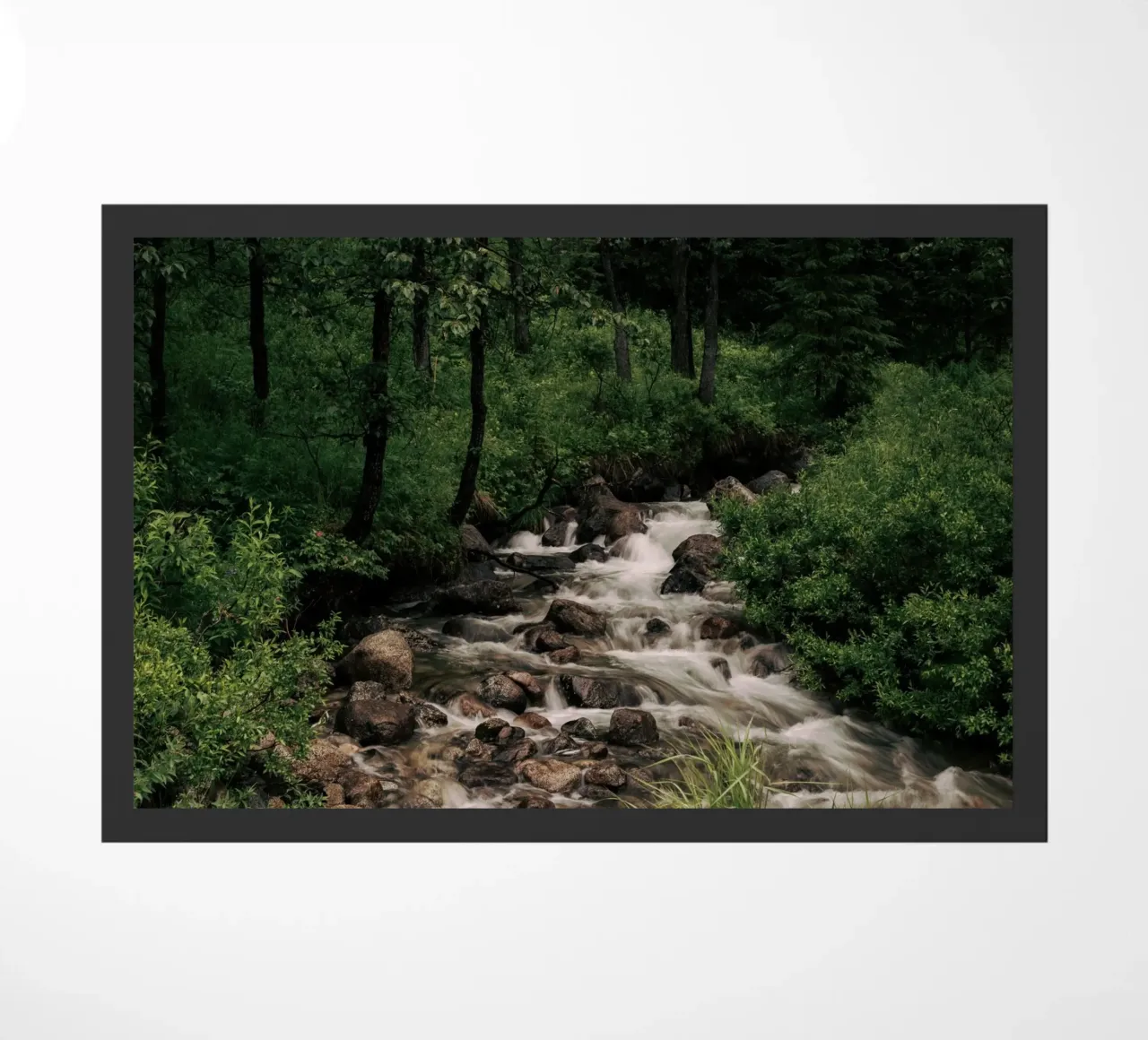 Forest Stream zerbino da wowhannahphotos