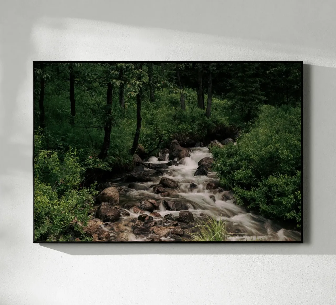 Forest Stream plexiglass da wowhannahphotos