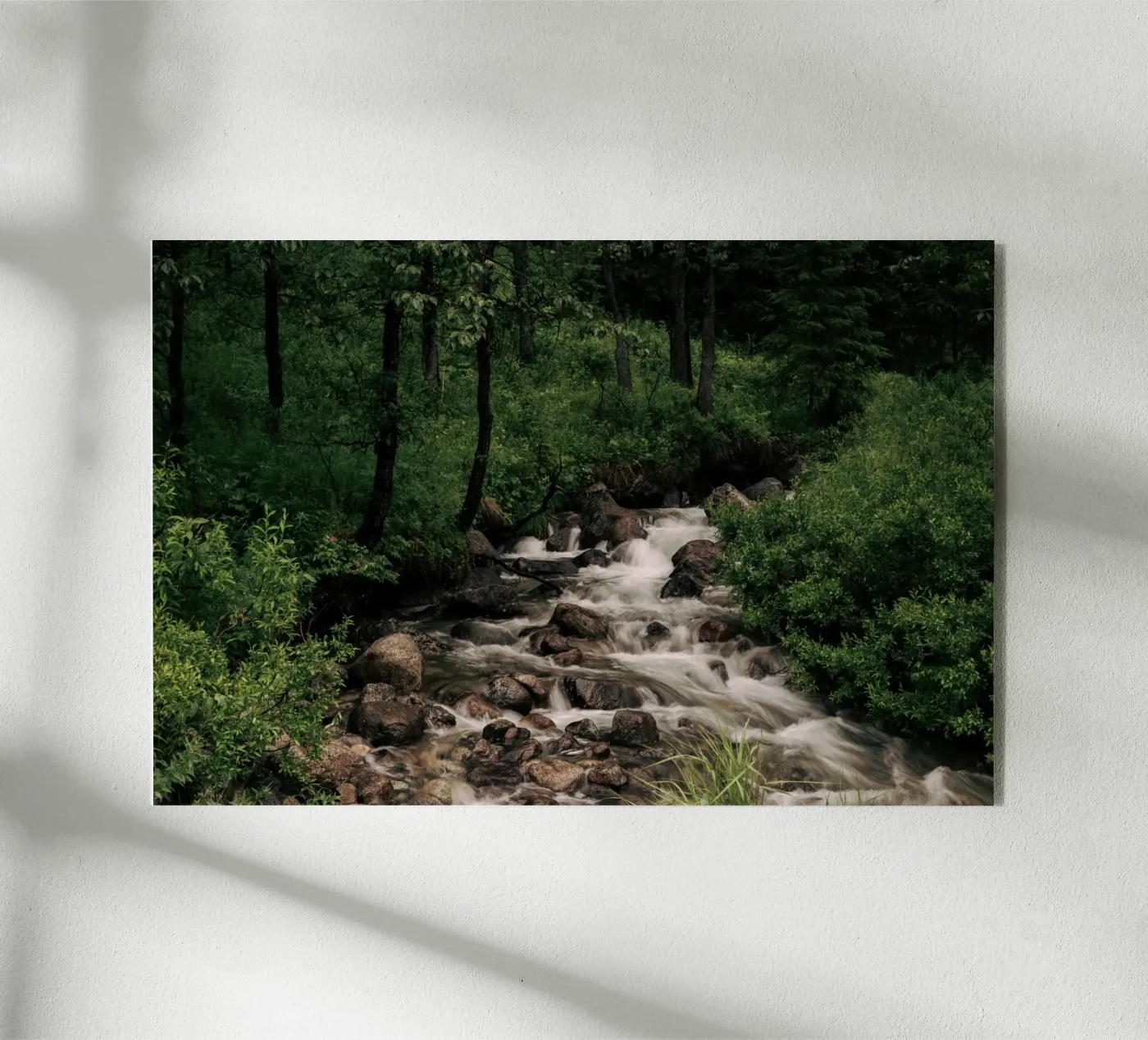 Forest Stream plexiglass da wowhannahphotos