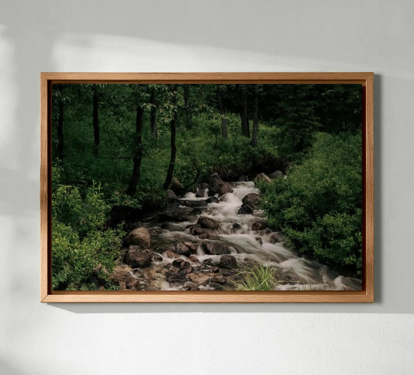 Forest Stream canvas by wowhannahphotos
