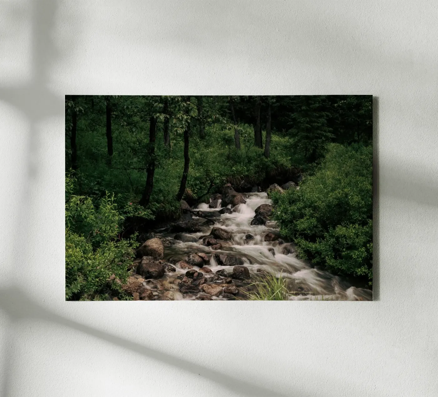 Forest Stream canvas by wowhannahphotos