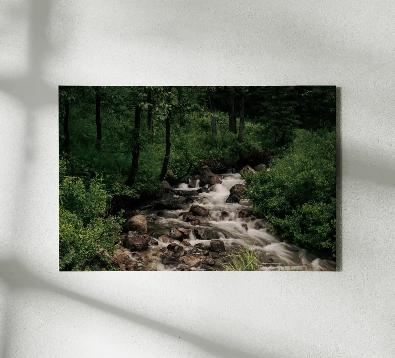 Forest Stream tela da wowhannahphotos