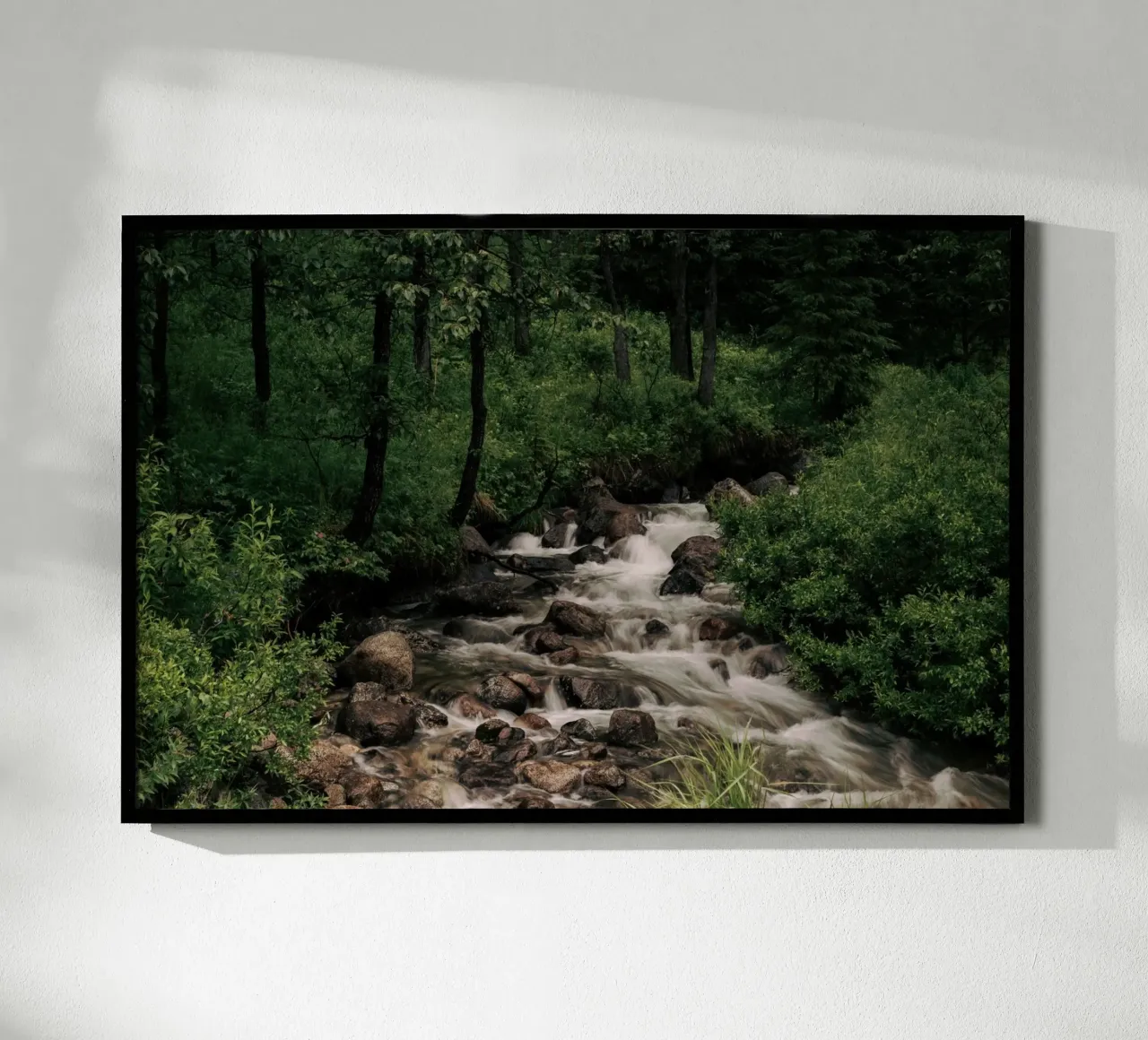 Forest Stream carta hahnemühle da wowhannahphotos