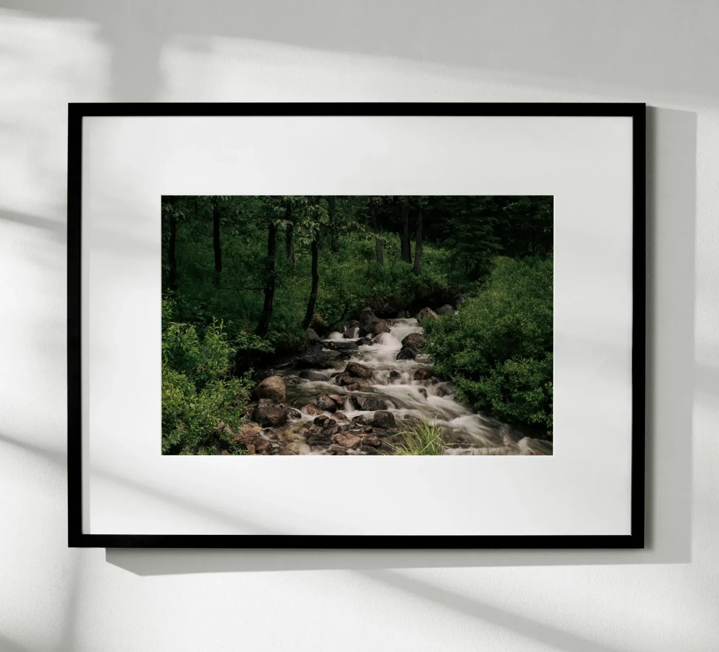 Forest Stream Poster von wowhannahphotos