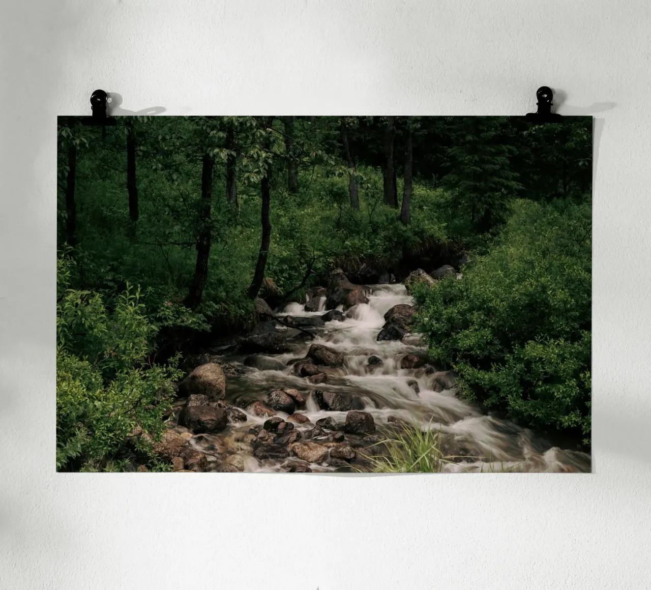 Forest Stream carta hahnemühle da wowhannahphotos