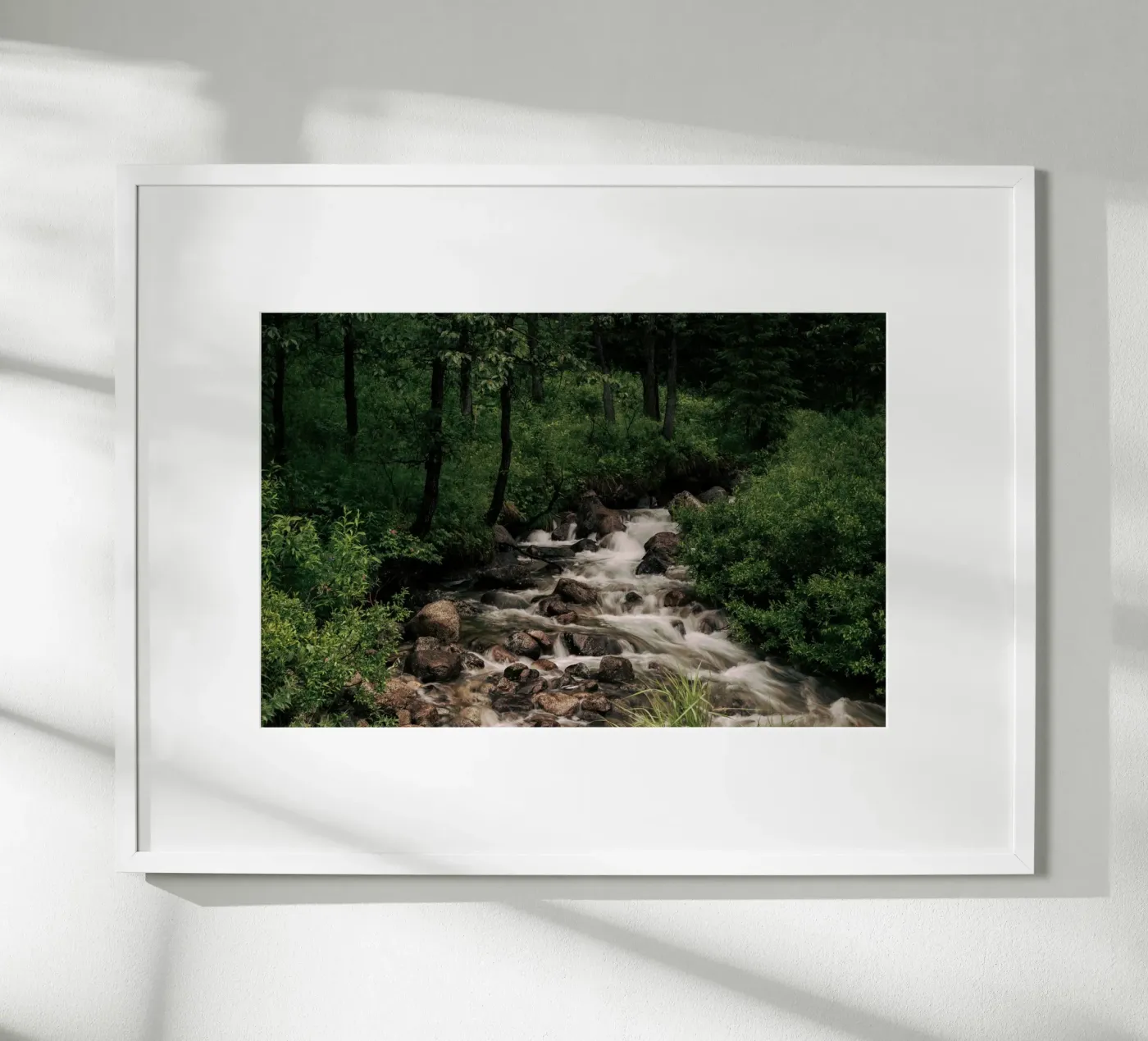 Forest Stream Poster von wowhannahphotos