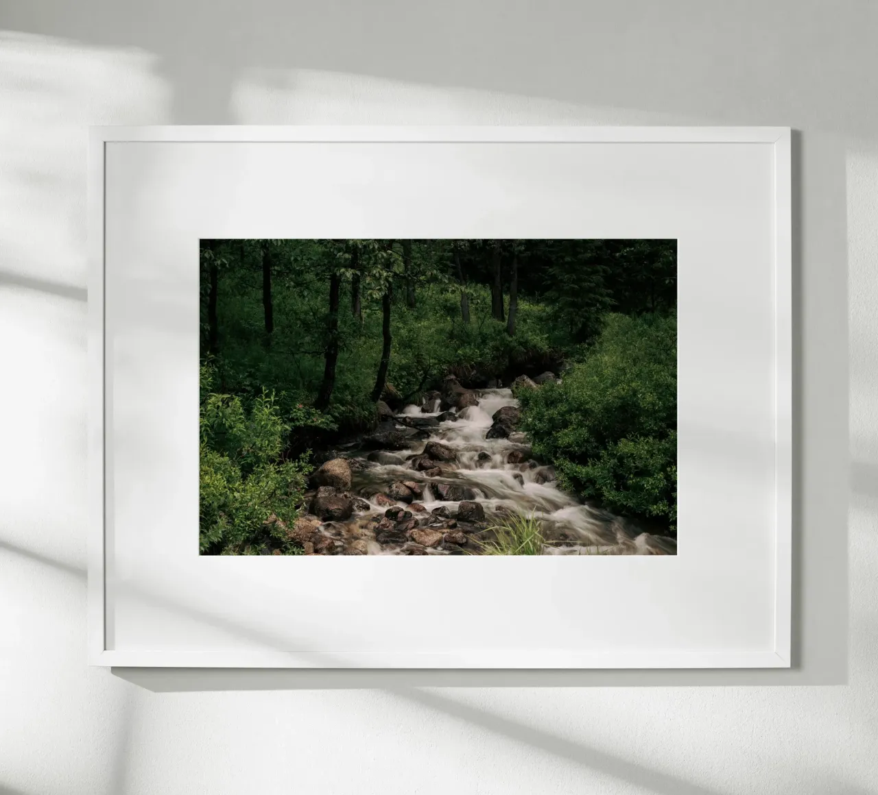 Forest Stream carta hahnemühle da wowhannahphotos