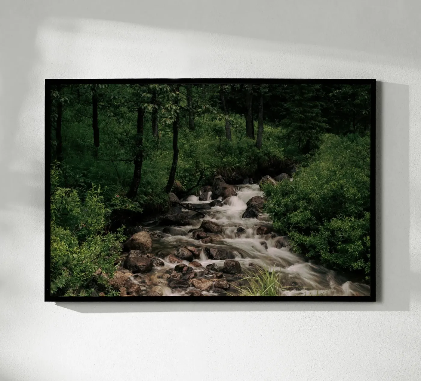 Forest Stream Poster von wowhannahphotos