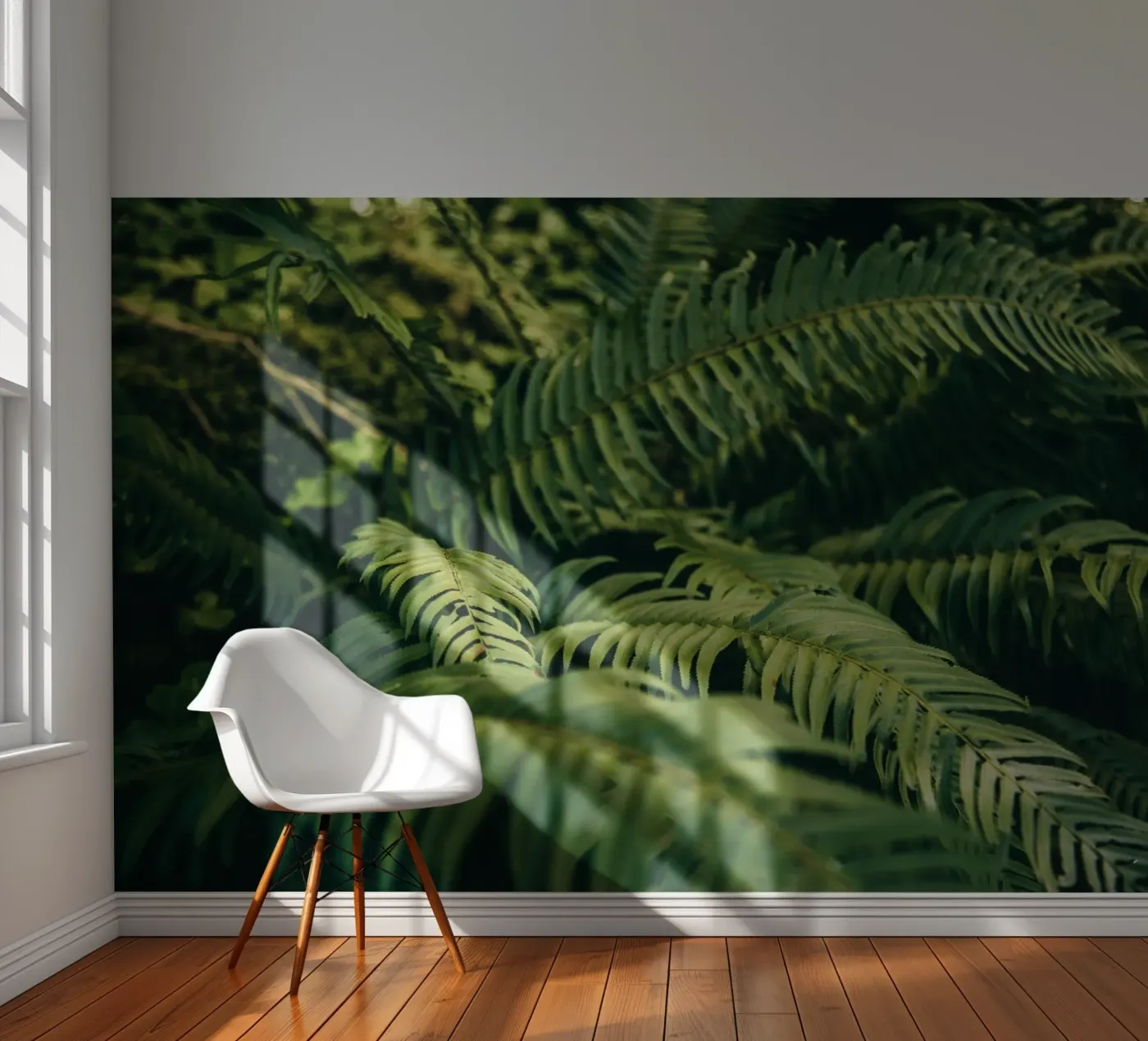 Ferns fotobehang van wowhannahphotos