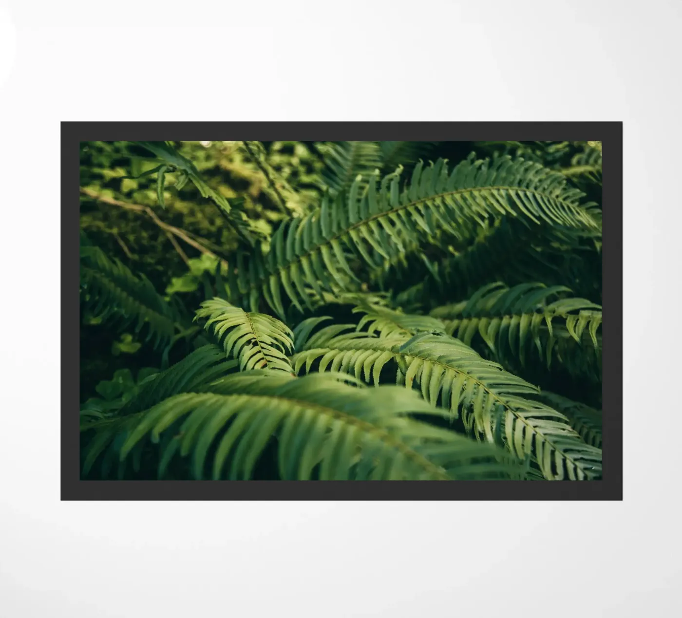 Ferns deurmat van wowhannahphotos