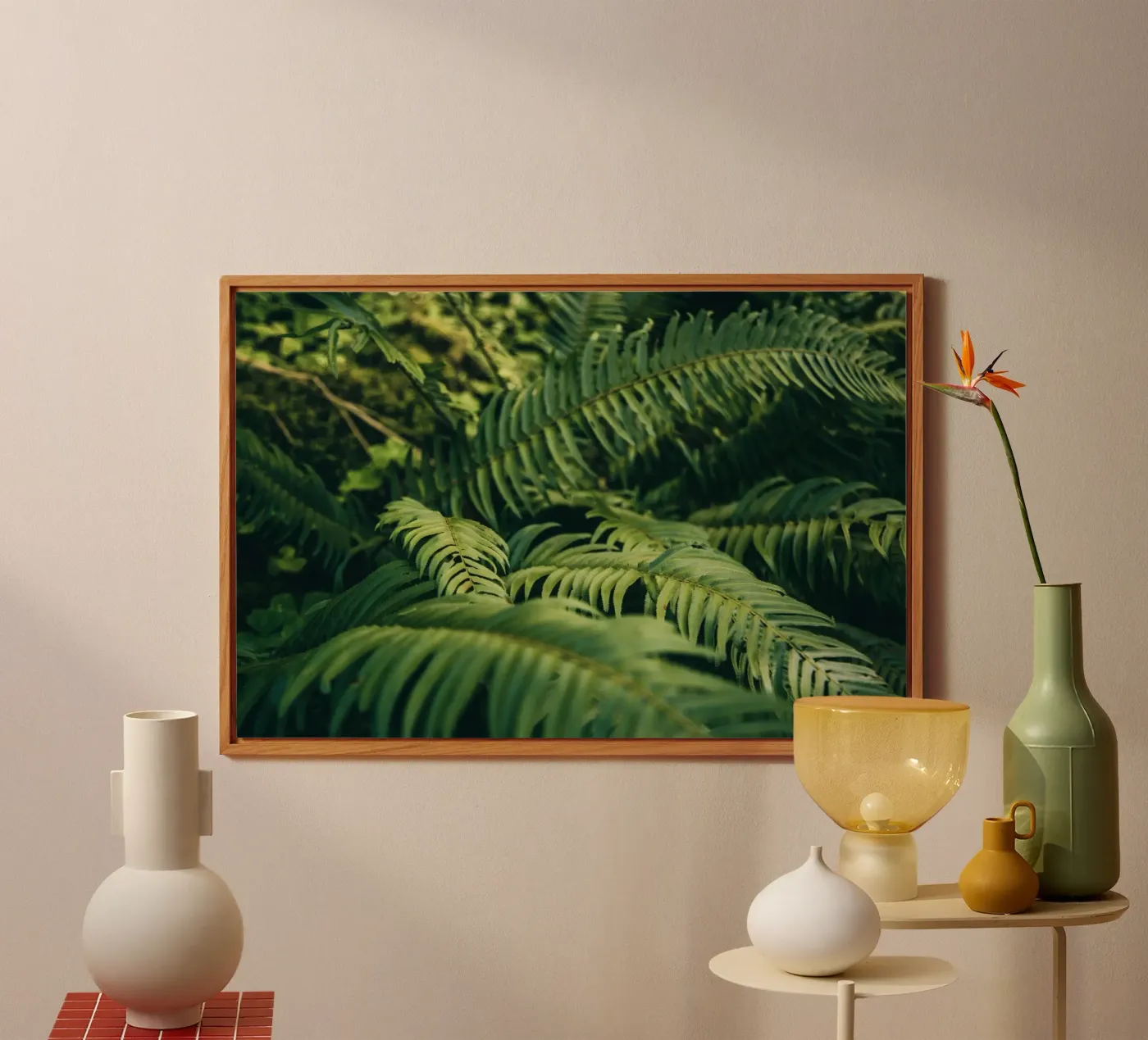 Ferns pannello forex da wowhannahphotos