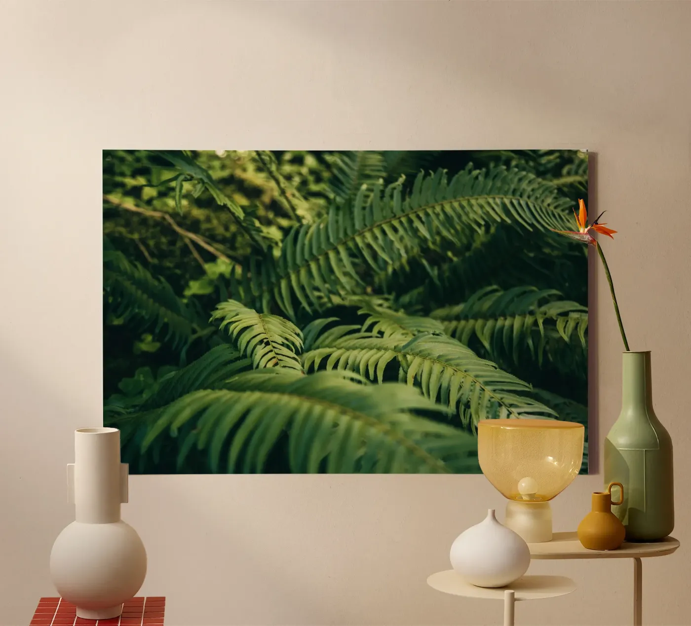 Ferns tela da wowhannahphotos