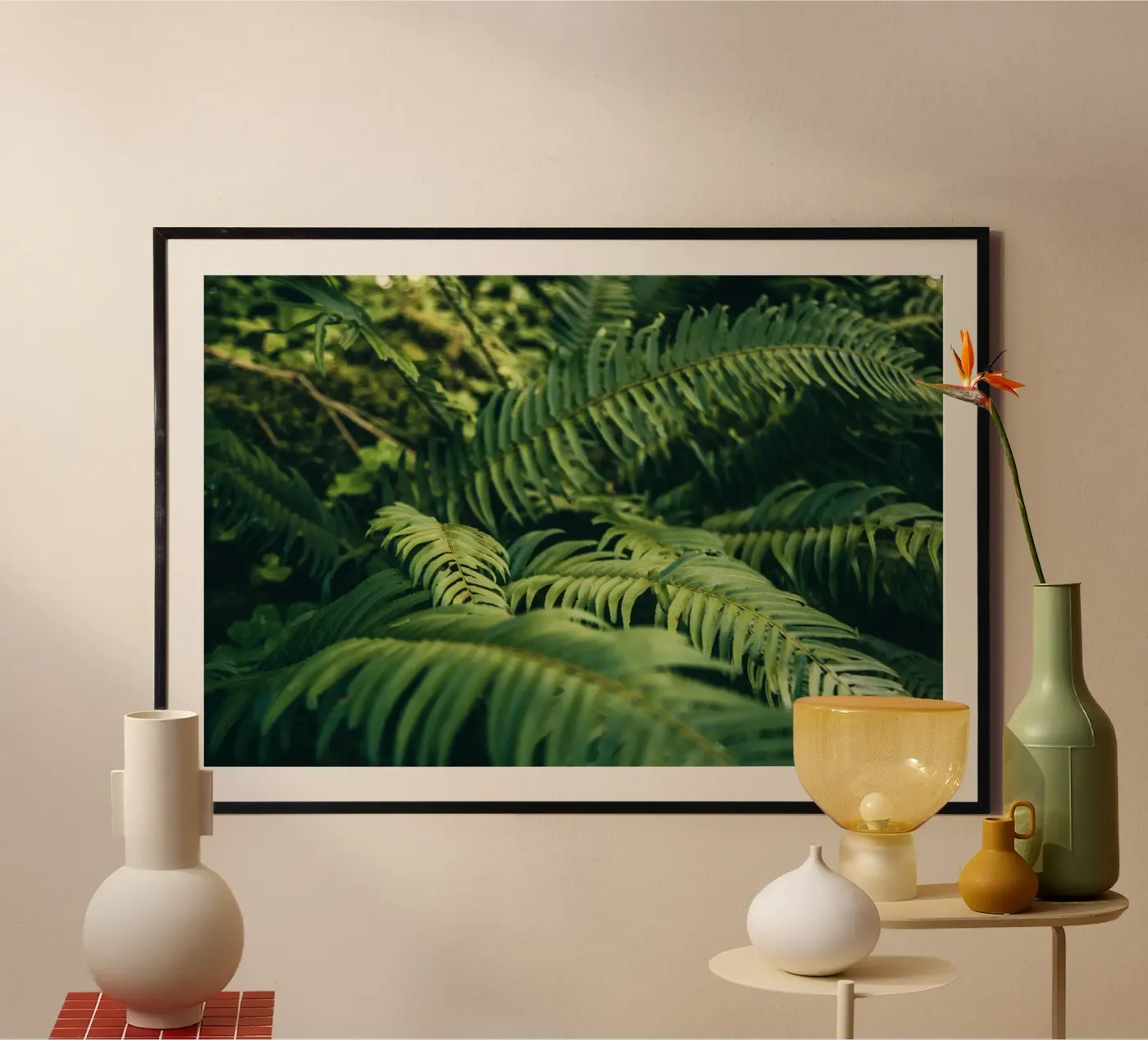 Ferns Poster von wowhannahphotos