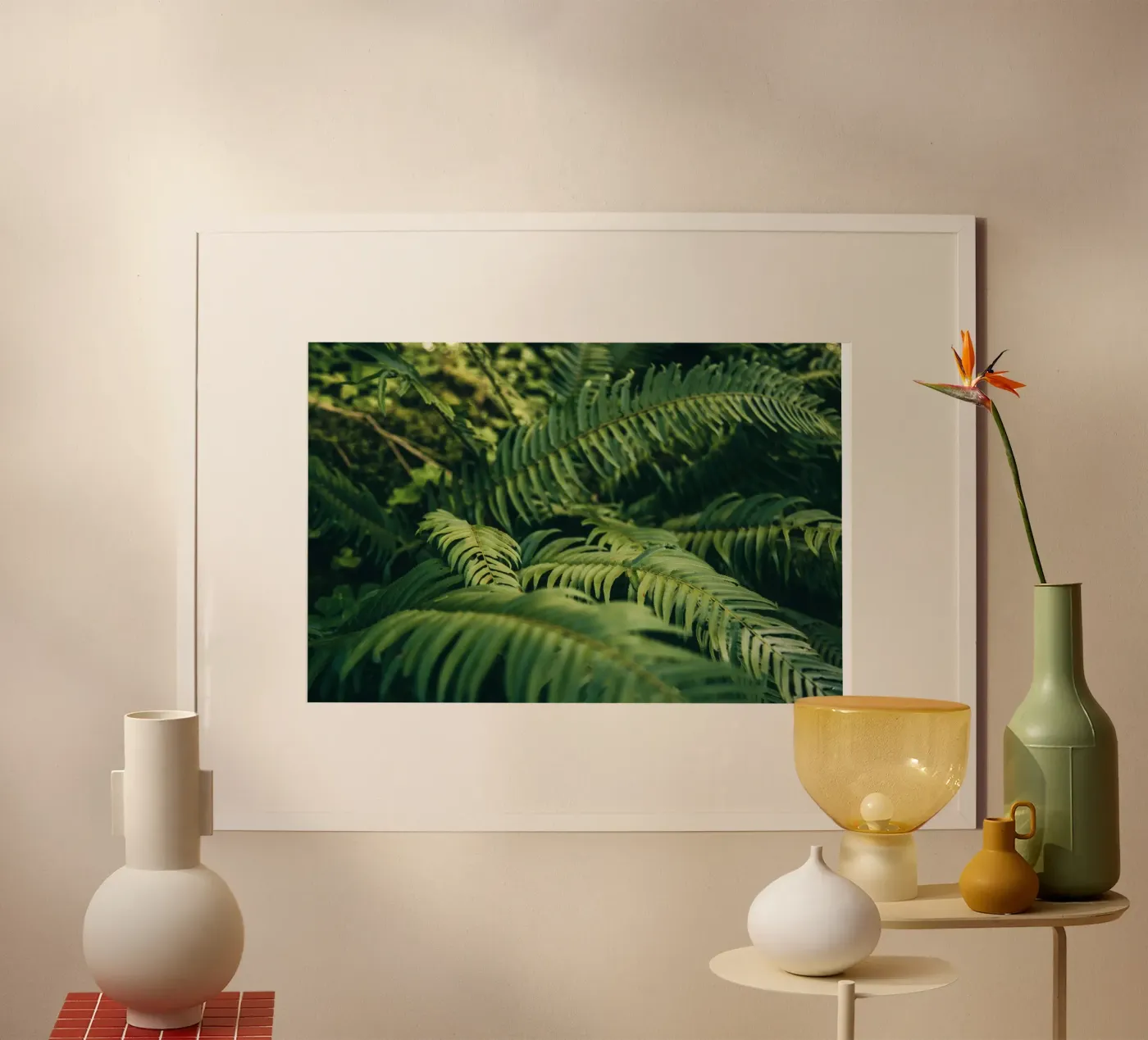 Ferns Poster von wowhannahphotos