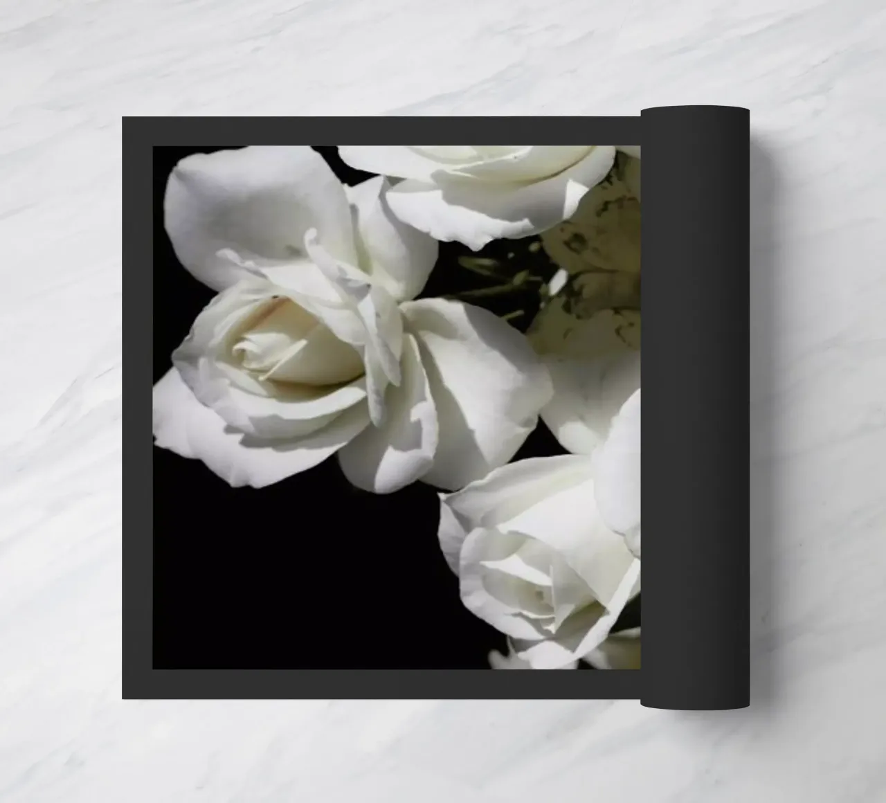 Break of day zerbino da Leigh Viner