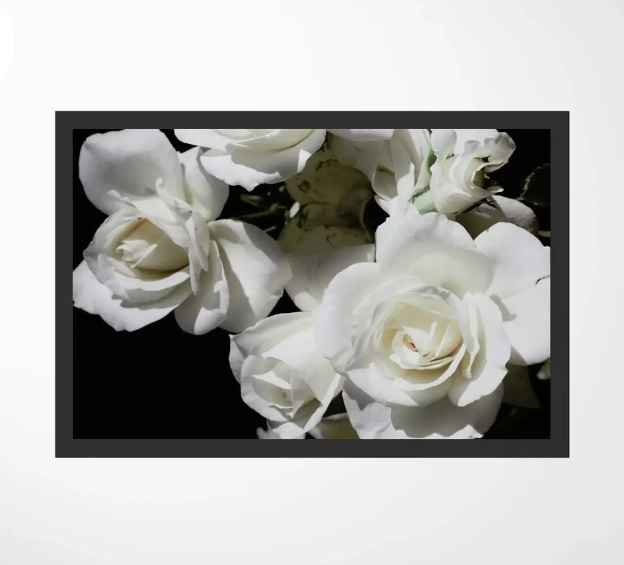 Break of day zerbino da Leigh Viner