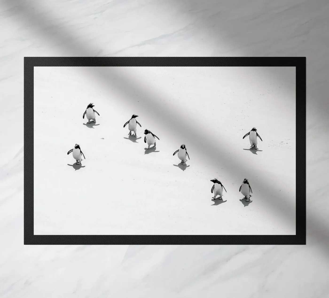 Snow Penguins zerbino da Natural Kingdom