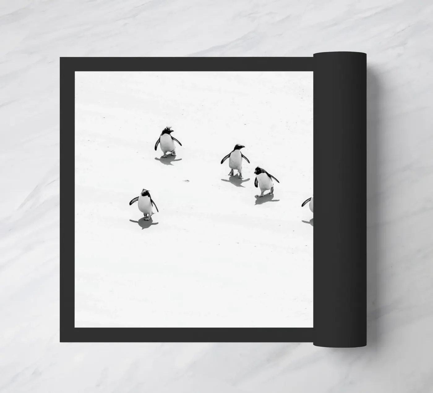 Snow Penguins zerbino da Natural Kingdom