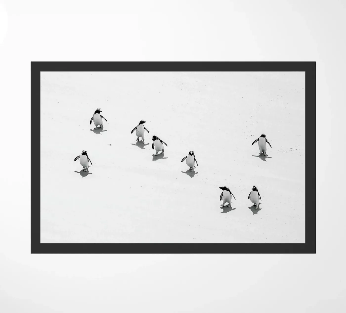 Snow Penguins zerbino da Natural Kingdom