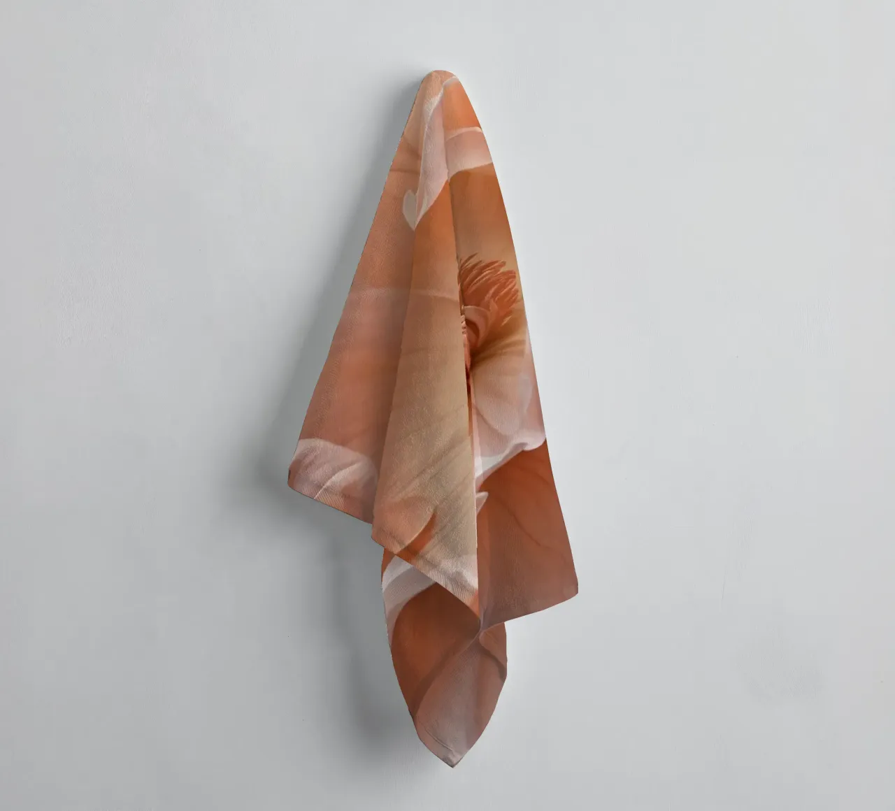 Delicate pink flower with ruffled petals illuminated in soft towel by DesignDoodle